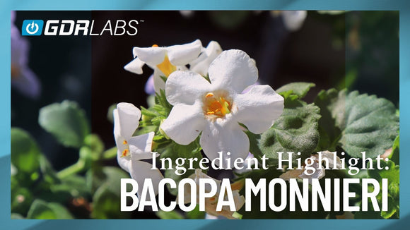 Brahmi (Bacopa monnieri): Nature’s Ancient Nootropic for Modern Minds