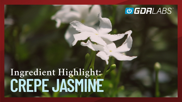 Crepe Jasmine and Conolidine: A Natural Path to Relief Backed by Science