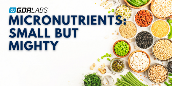 Micronutrients: Small But Mighty for Your Health