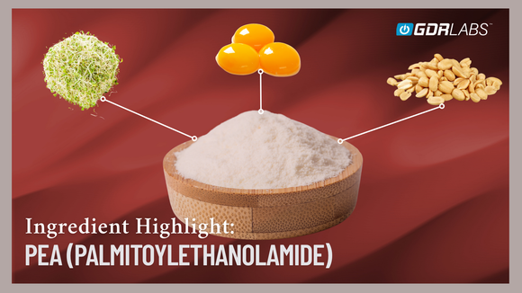 Palmitoylethanolamide (PEA) and Conolidine: A Natural Solution for Relief Rooted in Human Biology