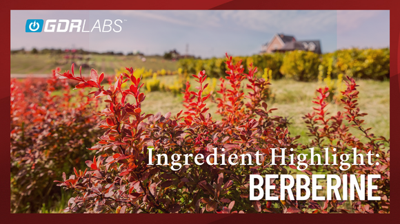 Berberine: Ancient Herbal Wisdom Meets Modern Science for Weight and Blood Sugar Support