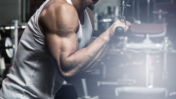 No Gym, No Problem: Getting a Bicep and Triceps Pump at Home!