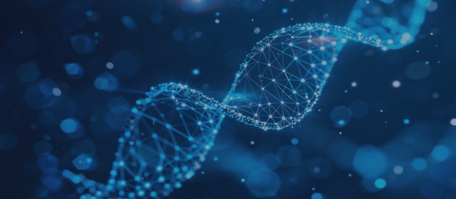 Core Health Essentials Collection