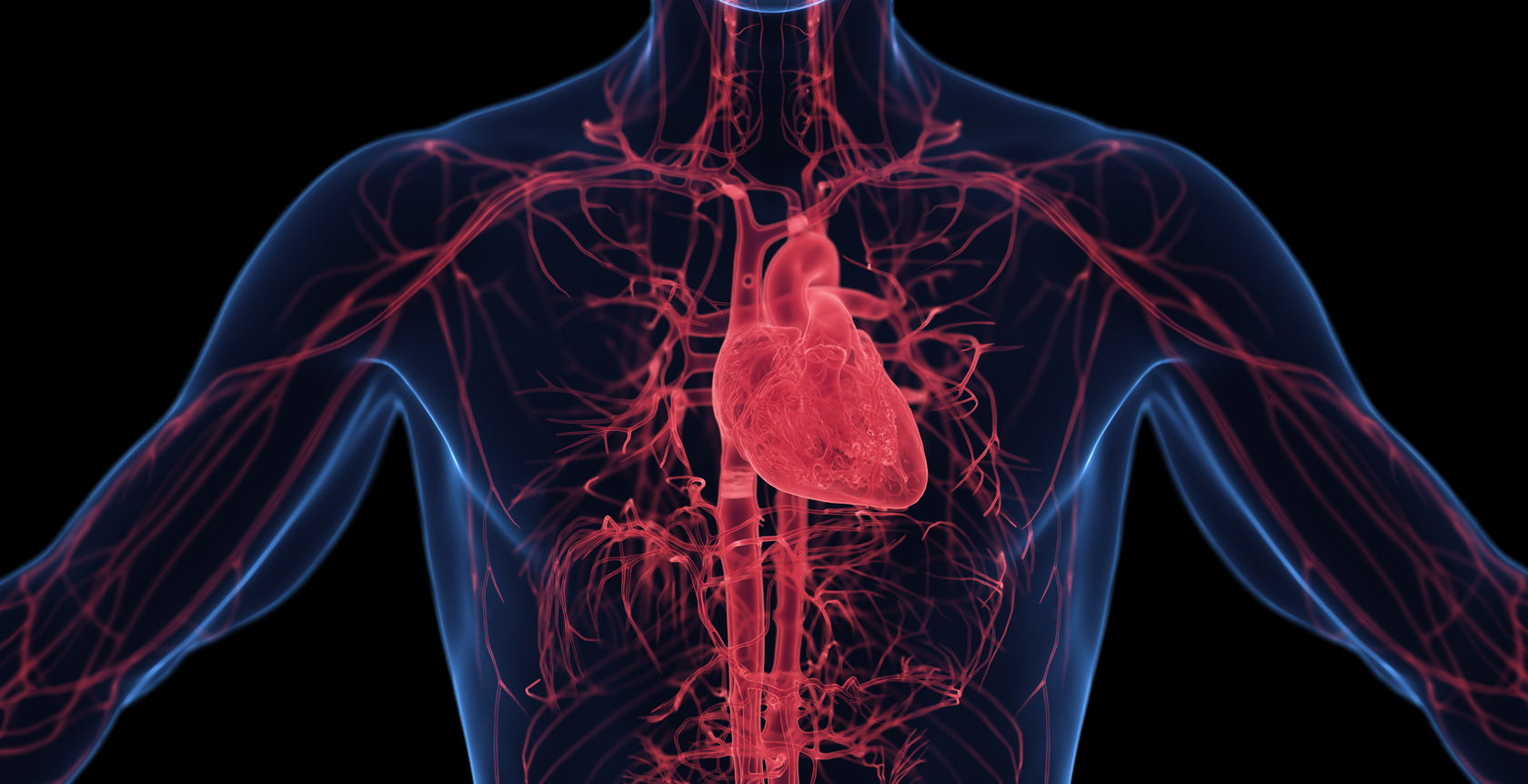 Carditrol™ - Natural Heart Health Support – GDRLABS