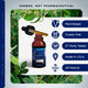 Upgrade Your Neurotol™: Add Sirtuin™ Daily Antioxidant Support - GDRLABS