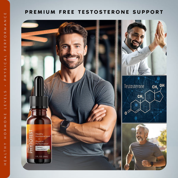 Upgrade Your Nutra IGF™: Add PhytoTest™ Free Testosterone Support - GDRLABS