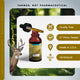 Upgrade Your Sirtuin™: Add Nutra IGF™ Natural Growth Factor Support - GDRLABS